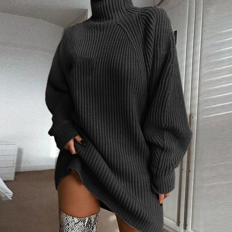 Solid Turtleneck Long Sweater